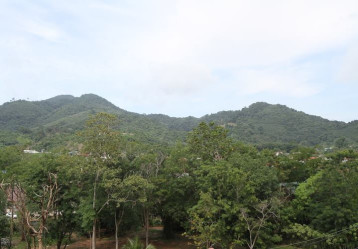 latest property