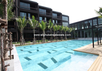 latest property