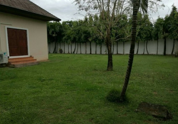 latest property
