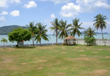 latest property
