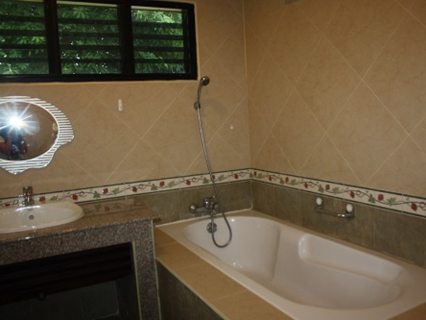 Image HCV007 8