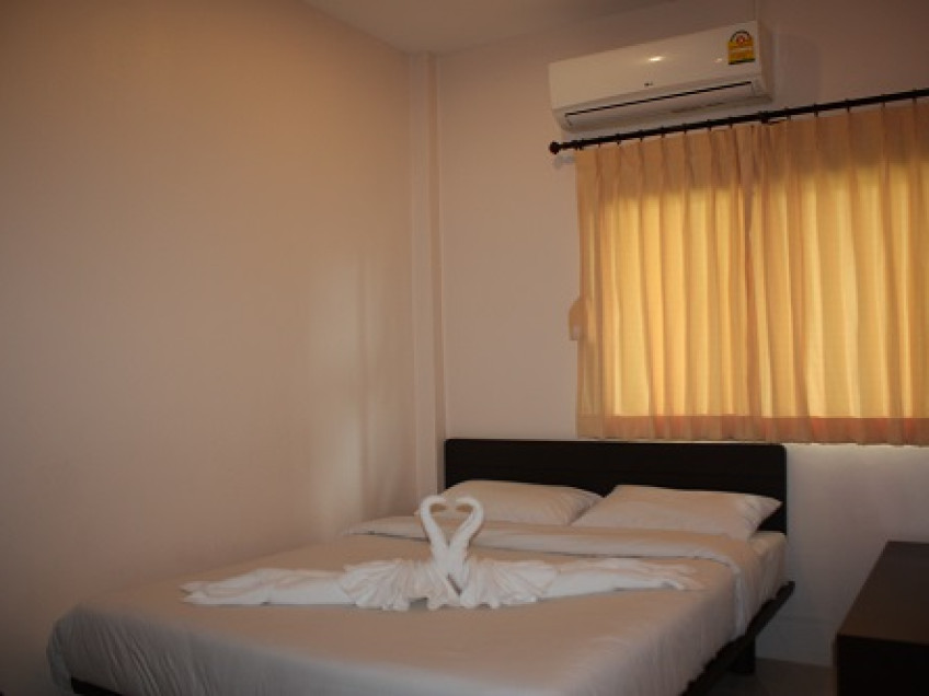 Image HCV008 7