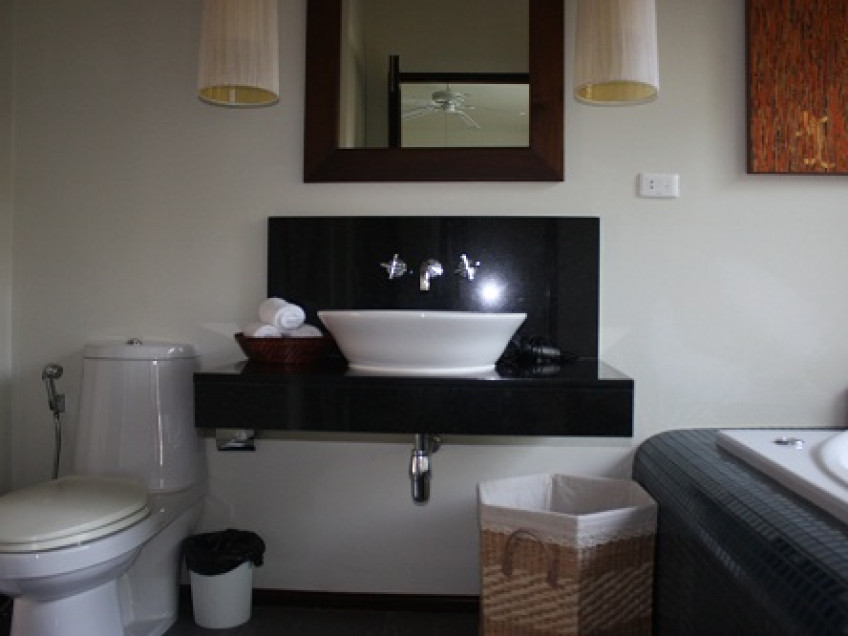 Image NHV529 5